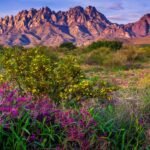 horizontal-las-cruces
